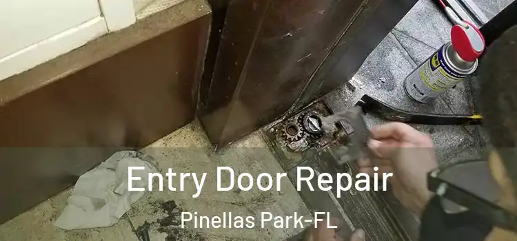 Entry Door Repair Pinellas Park-FL