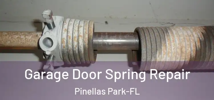 Garage Door Spring Repair Pinellas Park-FL