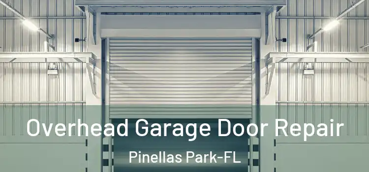Overhead Garage Door Repair Pinellas Park-FL